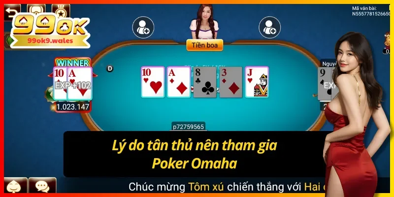 03 lý do để tân thủ phải tham gia Poker Omaha